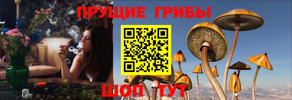 Вязьма  Псилоцибиновые грибы GOLDEN TEACHER  Галлюциногенные грибы Magic Shrooms  Вход с VPN 