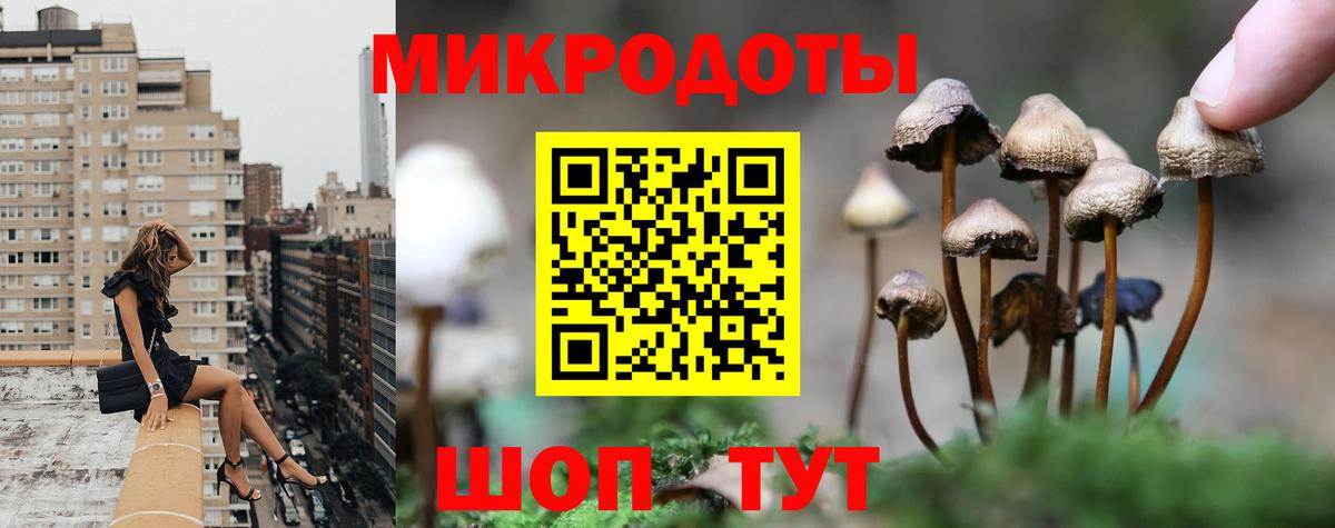 Галлюциногенные грибы мухоморы Вязьма